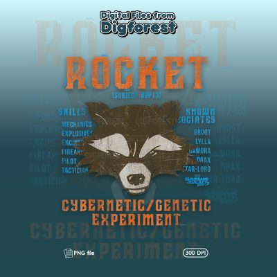Rocket Raccoon PNG | Guardians of the Galaxy | Avengers Family Trip Download