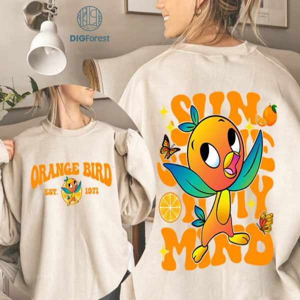 Vintage Epcot Orange Bird Png | Orange Bird Hello Sunshine Png | Family Vacation Shirt | Magic Kingdom Birthday Gifts For Kid | Instant Download