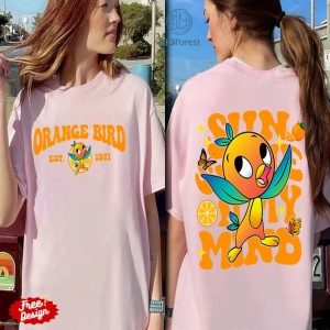 Vintage Epcot Orange Bird Png | Orange Bird Hello Sunshine Png | Family Vacation Shirt | Magic Kingdom Birthday Gifts For Kid | Instant Download