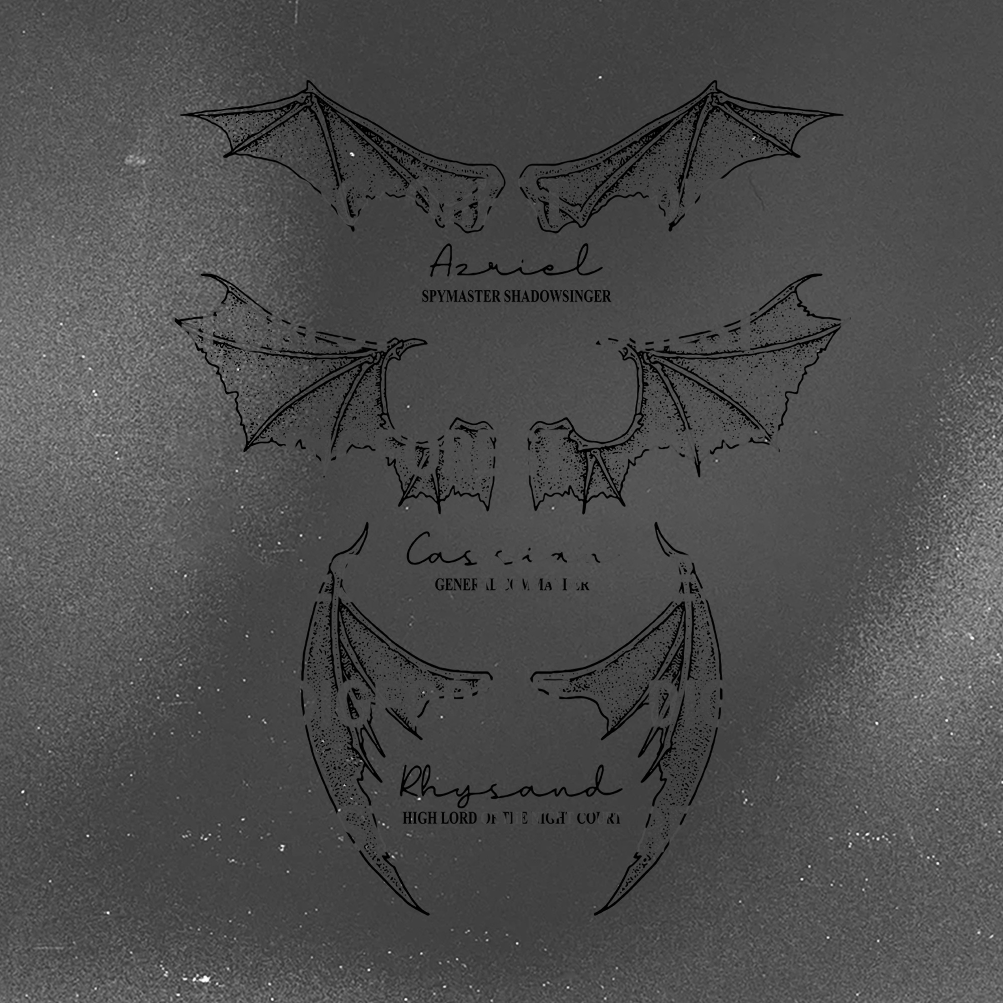 Acotar Bat Boys Shirt, The Night Court Shirt, Illyrians Of The Night Court Shirt, A Court Of Thorn And Roses Cassian General Comander Acotar Bat Boys Shirt, The Night Court Shirt, Illyrians Of The Night Court Shirt, A Court Of Thorn And Roses Cassian General Comander