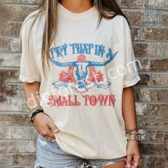 Try That In A Small Png, Country Pride, Country Music Png, Country Music Shirt, 2Nd Amendment Shirt, Country Lyric Tee, Music Lyric Tee, Jason Aldean Shirt, Digital Download, Jason Aldean Png, Scripted Lettering, Proud American Tee, Jason Aldean Digital Download