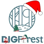 Logo Digforest.com