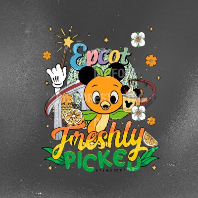 Vintage Epcot Orange Bird Shirt – Hello Sunshine Tee, Family Vacation Magic Kingdom Birthday Gifts, Disney Trip Shirt