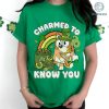 Bluey Happy St Patrick's Day PNG, Bluey Bingo Patrick's Day, Charmed To Know You, Bluey Four Leaf Clover Shamrock Tee Paddy's Day Tee