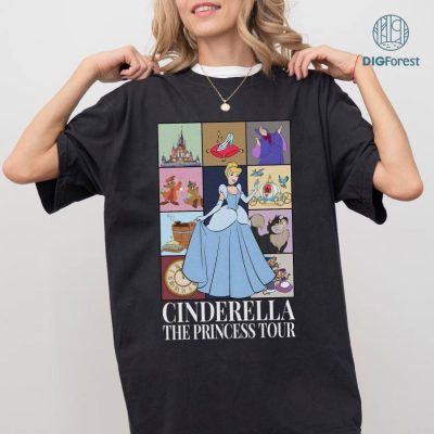 Disney Cinderella Shirt, The Princess Tour shirt, Princess Shirt, Vintage Cinderella Shirt, Disneyland Princess Shirt, Disneytrip Shirts