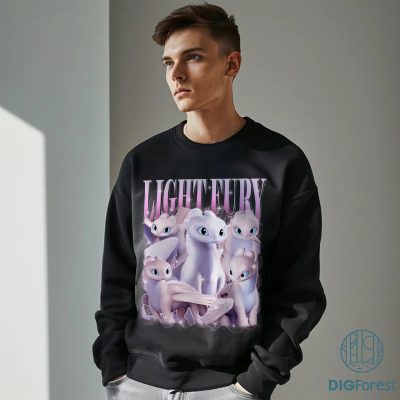 How to Train Your Dragon Light Fury & Toothless Png, Toothless Bootleg Tee, Hidden World Dragon Shirt, Magic Kingdom Shirt